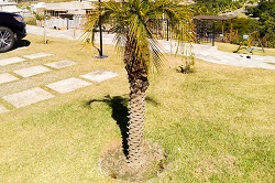 Jardim em Condomínio